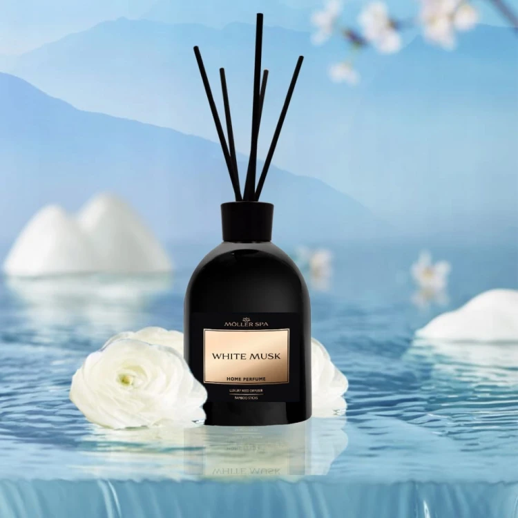 3d533e874d8c8a26b18e3dd4df81
