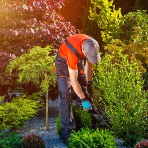 b124b0e64e89807e939e1b723cb2