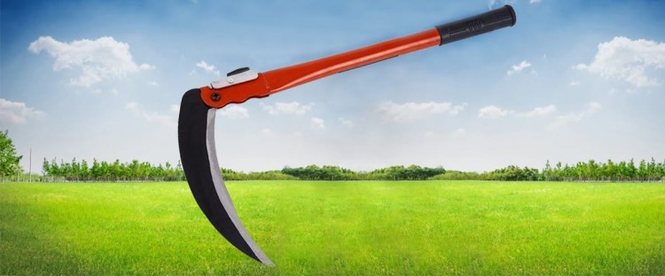 ad3ed64a4b44a170ed812732bbd2