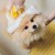 f5aa2bc69efc39be6e1664e957ef79b9.jpg